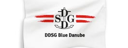 ddsg